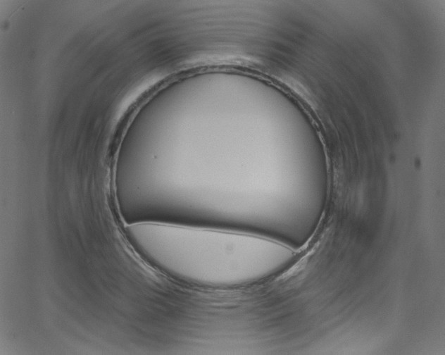 X0000068771119200604281011
