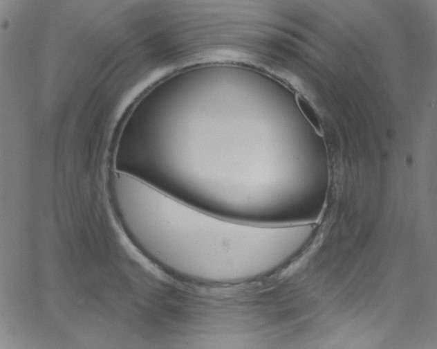 X0000068771134200604281011