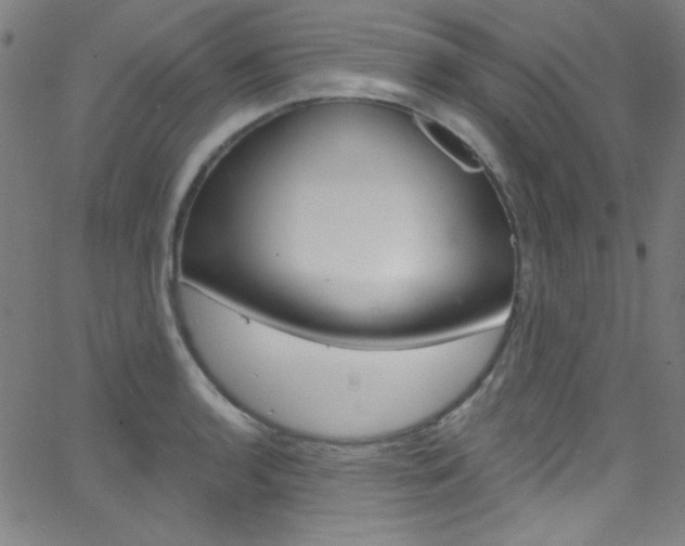 X0000068771136200604281011