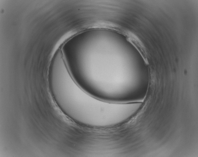 X0000068771138200604281011