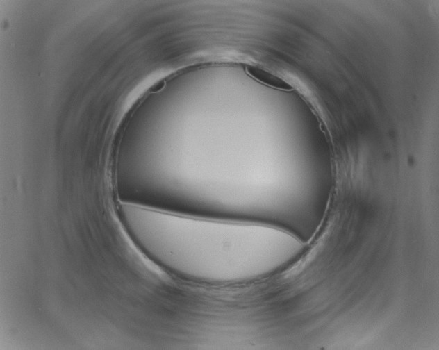 X0000068771141200604281011