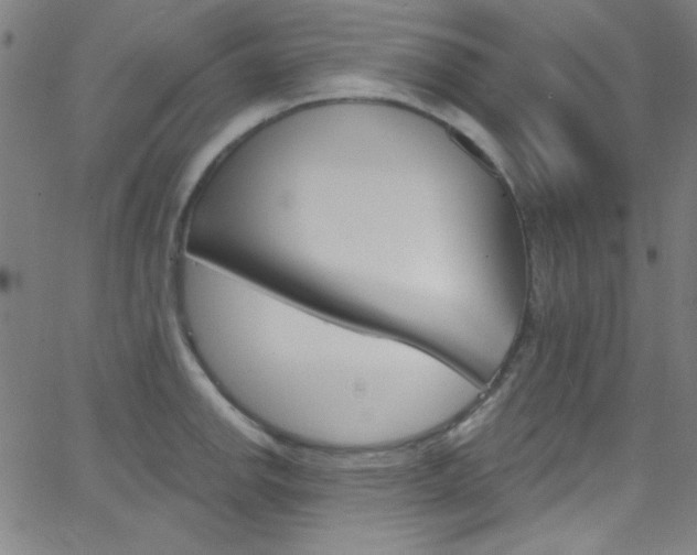 X0000068771142200604281011