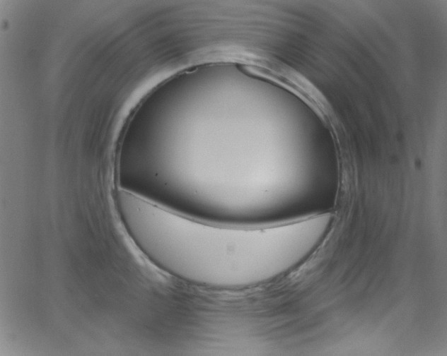 X0000068771144200604281011