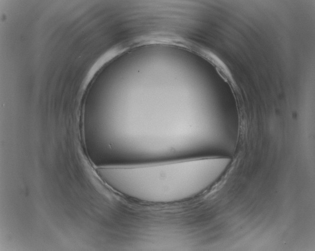 X0000068771146200604281011