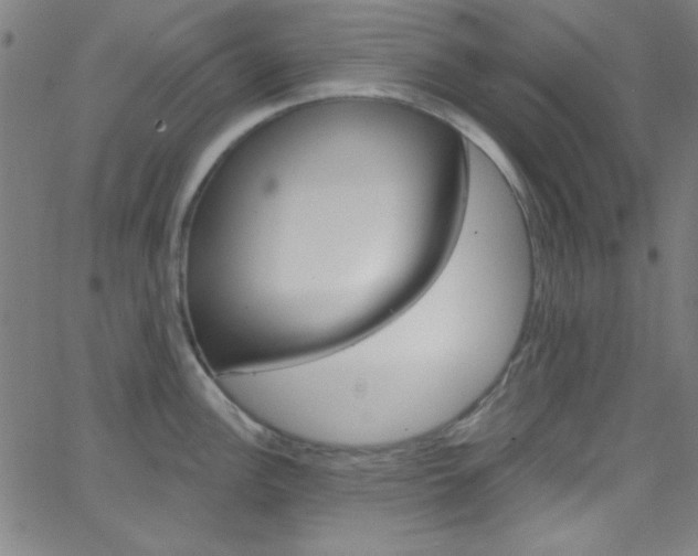 X0000068771148200604281011