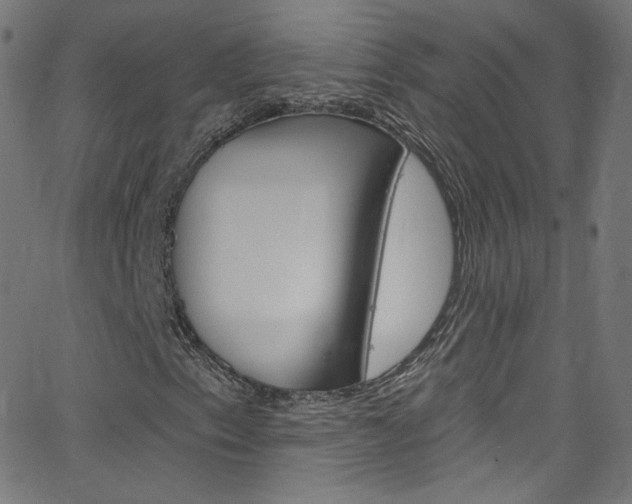 X0000068771153200604281010