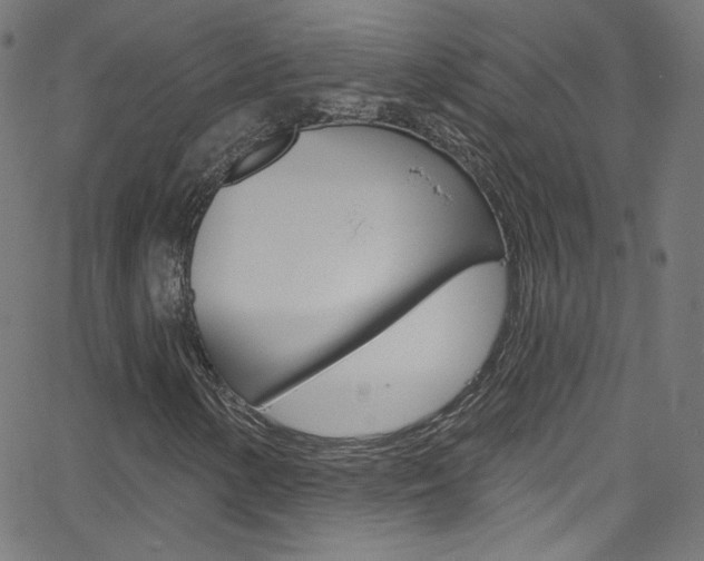 X0000068771154200604281010
