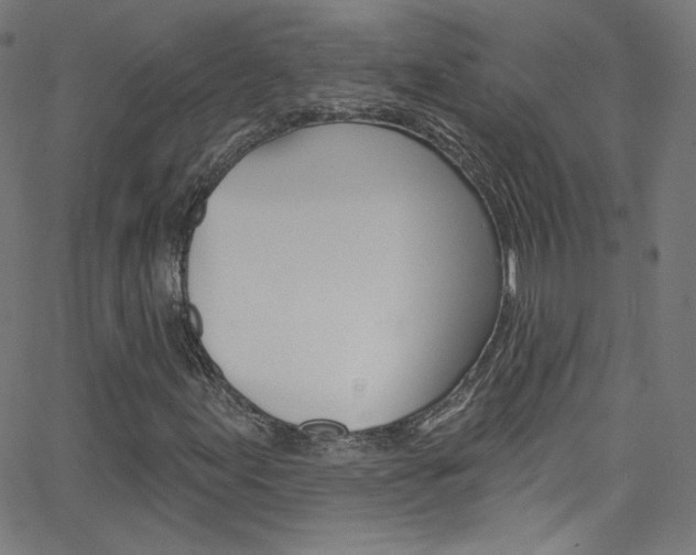X0000068771155200604281010