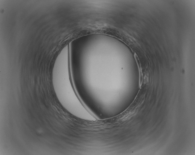X0000068771156200604281010