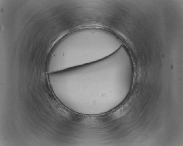 X0000068771162200604281010