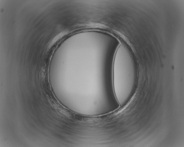X0000068771163200604281010