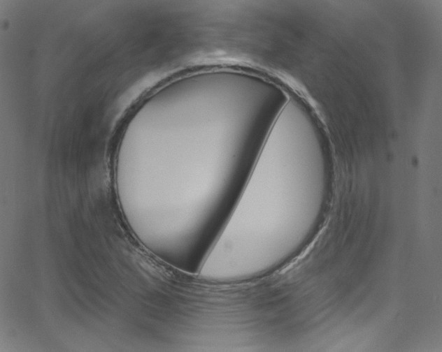 X0000068771167200604281010