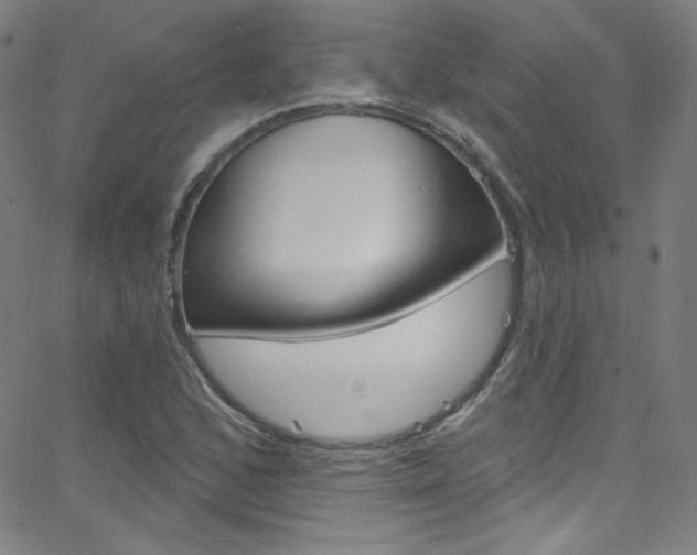 X0000068771168200604281010