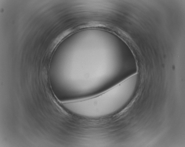 X0000068771177200604281010
