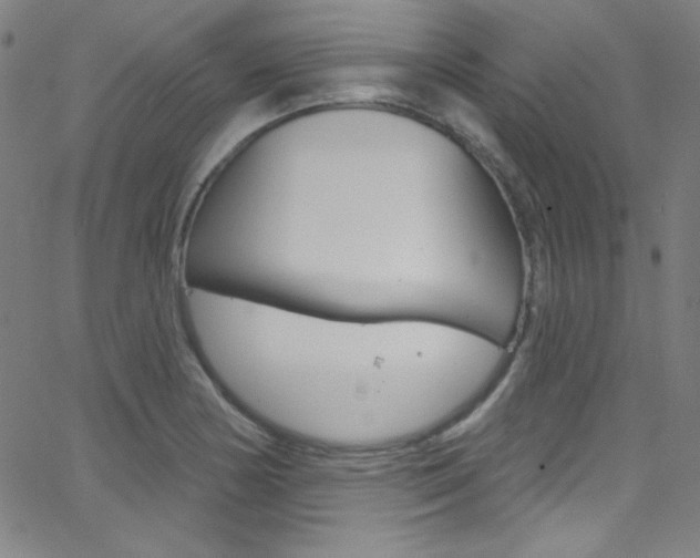 X0000068771178200604281010