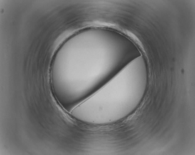 X0000068771183200604281010