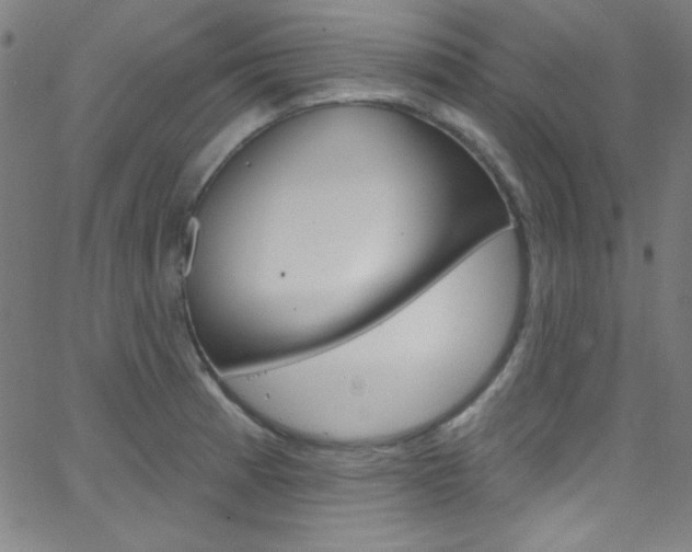 X0000068771185200604281010