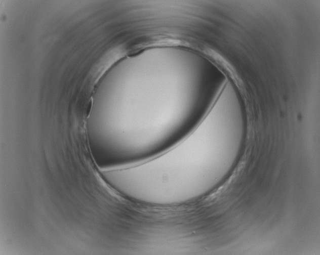 X0000068771193200604281010