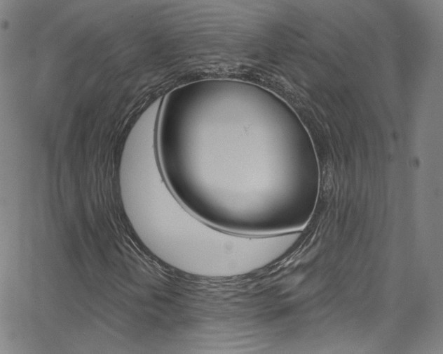 X0000068771202200604281009