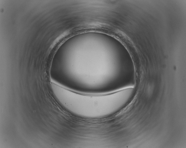 X0000068771210200604281009
