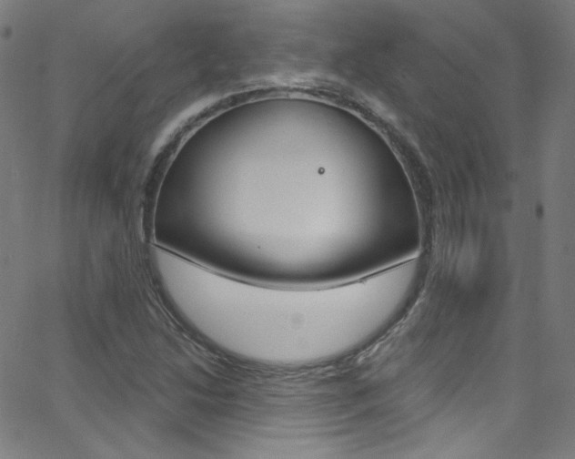 X0000068771214200604281009