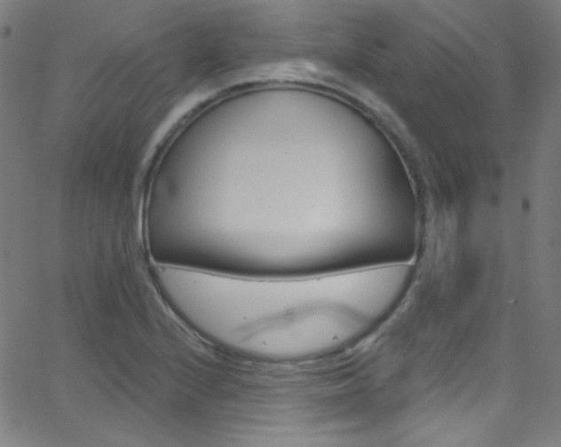 X0000068771224200604281009