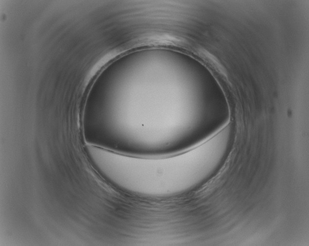 X0000068771226200604281009