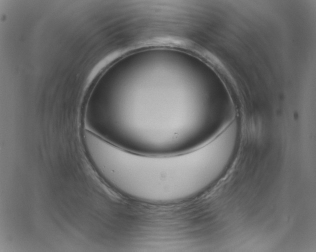 X0000068771230200604281009
