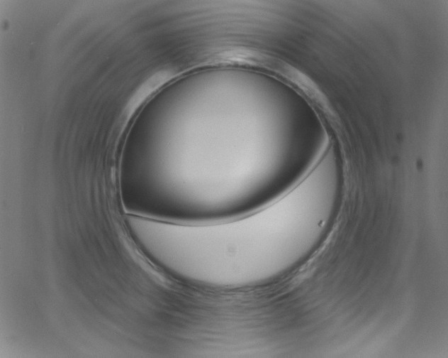 X0000068771234200604281009