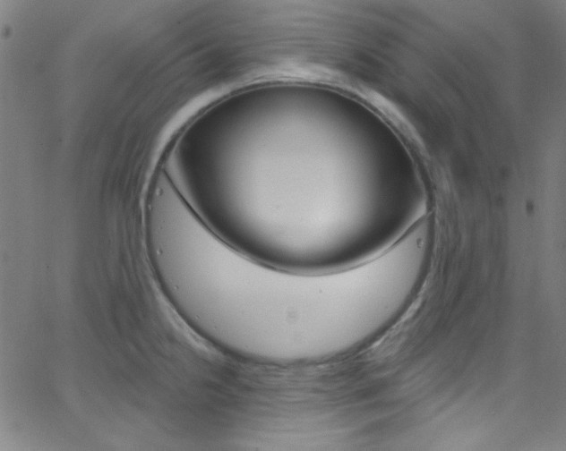 X0000068771238200604281009