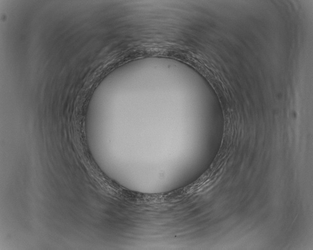 X0000068771249200604281009