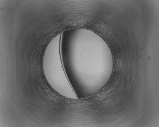 X0000068771250200604281009