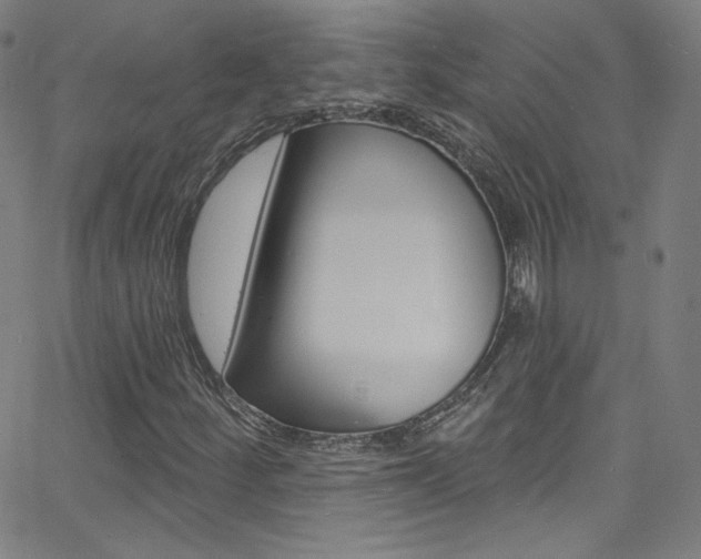 X0000068771252200604281009