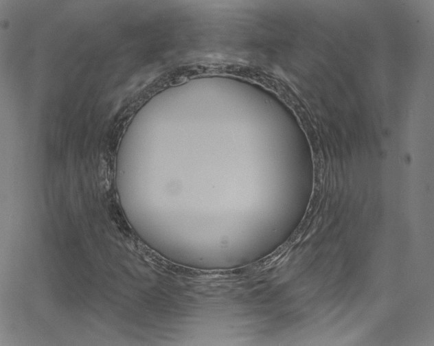 X0000068771253200604281009