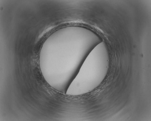 X0000068771255200604281009