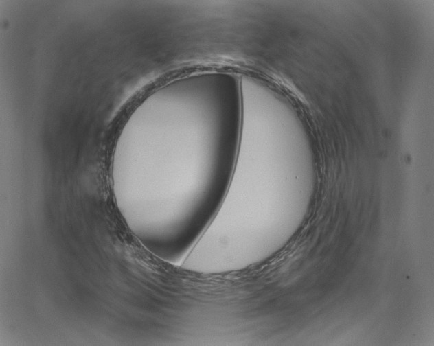 X0000068771256200604281009
