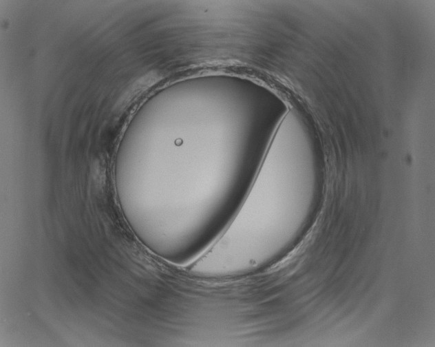 X0000068771257200604281009