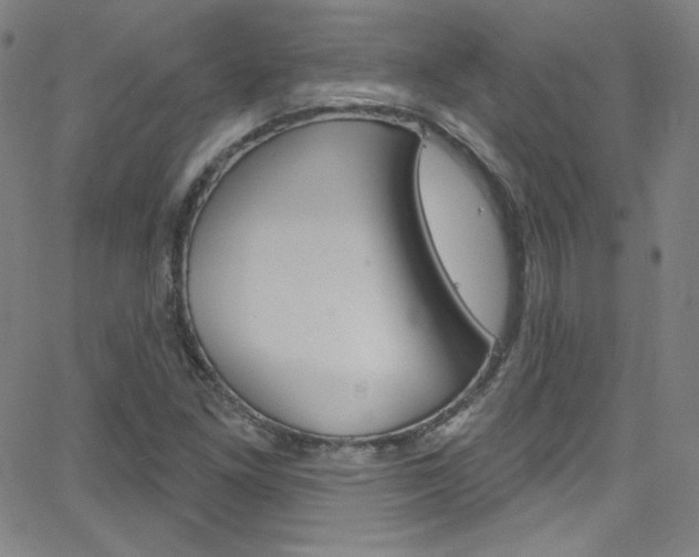 X0000068771261200604281009