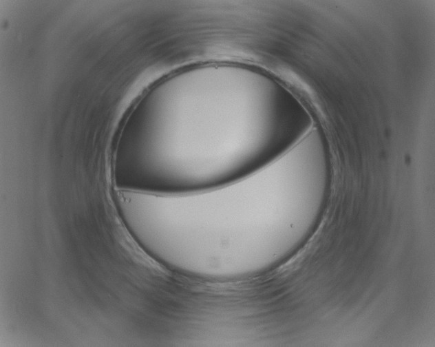 X0000068771280200604281008