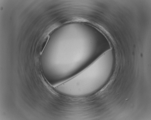 X0000068771281200604281008