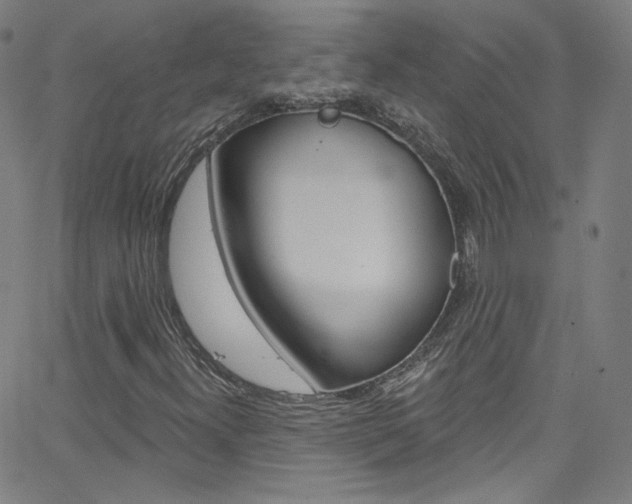 X0000068771300200604281007