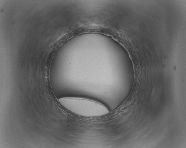 X0000068771301200604281007