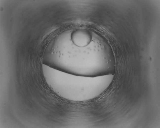 X0000068771302200604281007