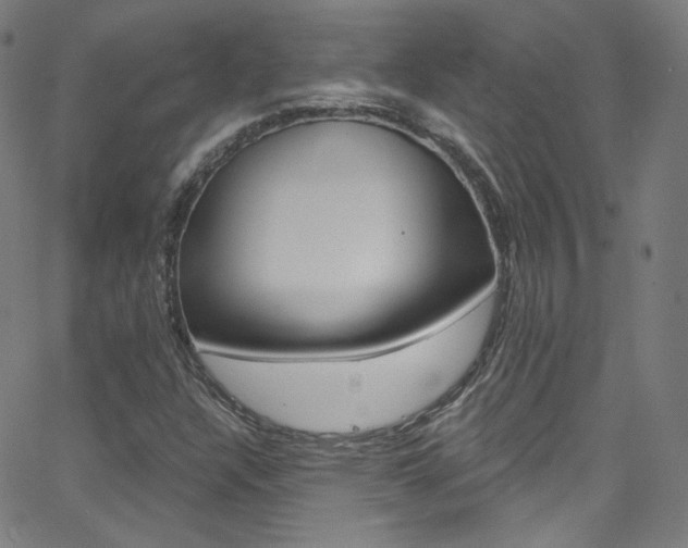 X0000068771304200604281007