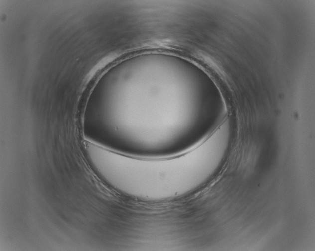 X0000068771308200604281007