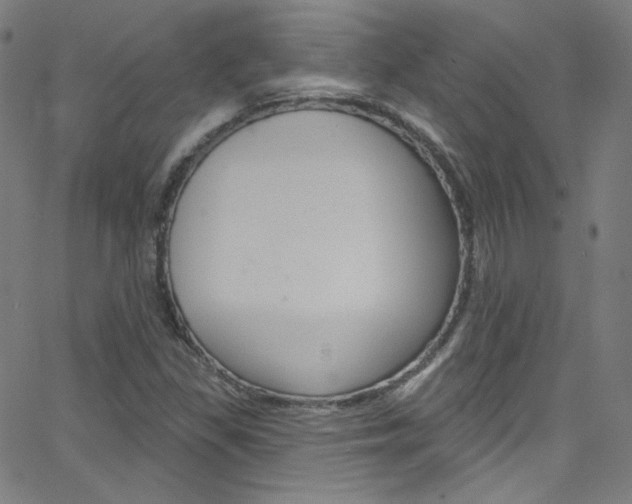X0000068771309200604281007