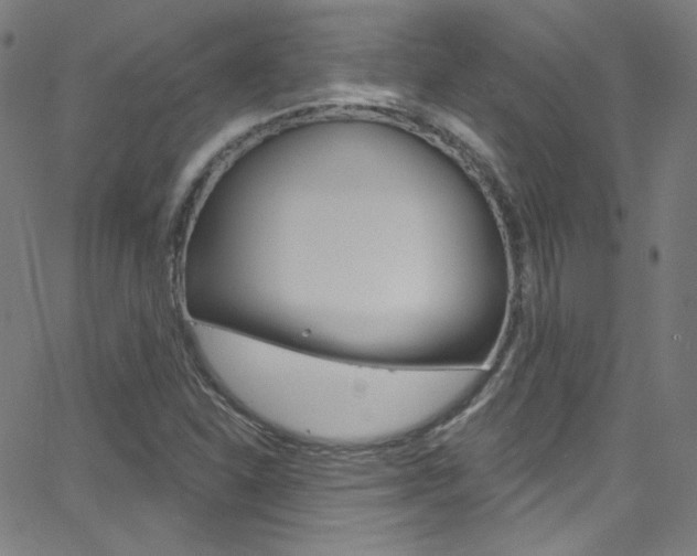 X0000068771310200604281007