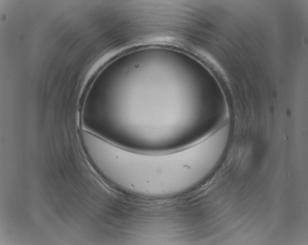 X0000068771324200604281008