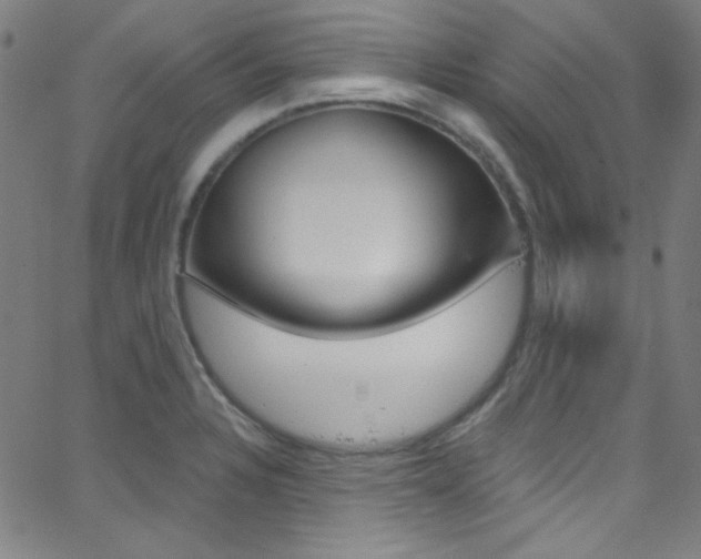 X0000068771328200604281008