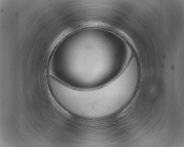 X0000068771330200604281008